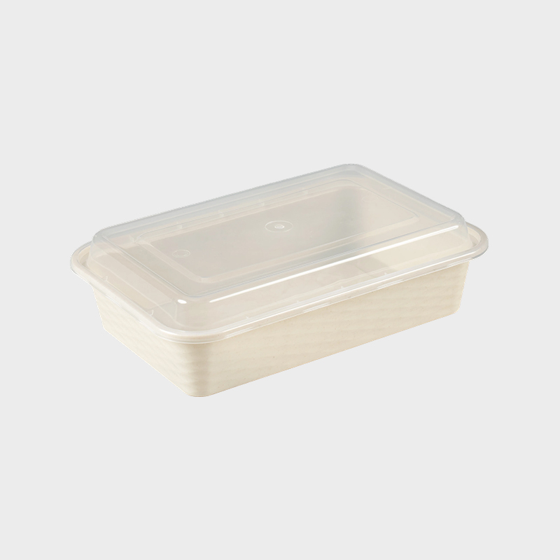 Plastic voedseldoos met zwarte basis en transparant deksel PFK001