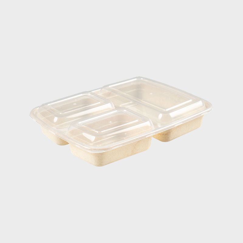 Bentobox met drie compartimenten PFK004/PFK003